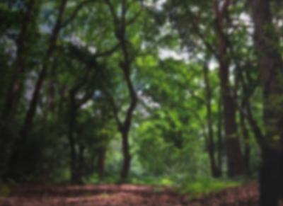 Image background